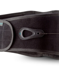 Aspen Lumbar Support